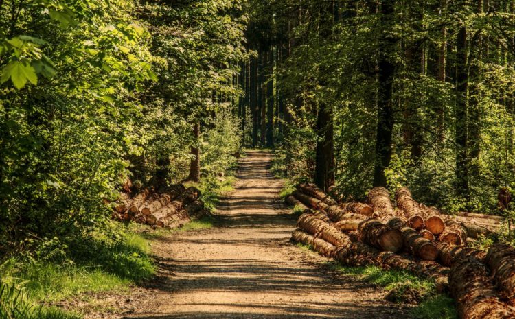 Piknik K.Ł. Jedność Białystok